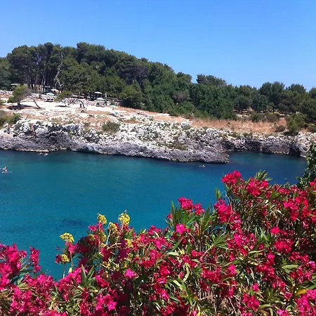Bed & Breakfast La Dimora Dell'inglese Felline