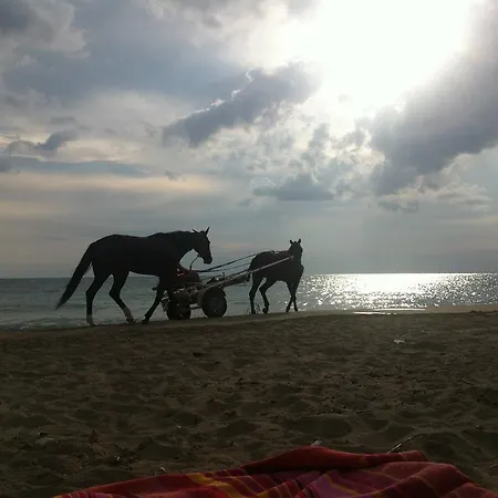 Bed & Breakfast La Dimora Dell'inglese *